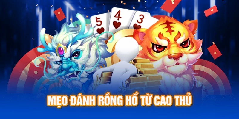 Chớp thời cơ gấp thếp khi chơi rồng hổ giúp tăng vọt số dư