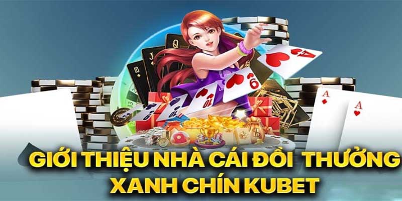 Tuân thủ điều khoản của nhà cái Kubet khi trải nghiệm dịch vụ