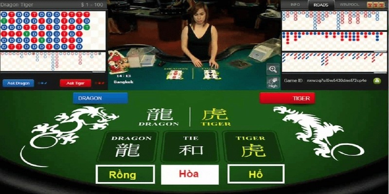 Tân binh tham gia chiến game rồng hổ với 5+ bước