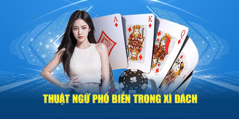 Thuật ngữ trong Xì Dách